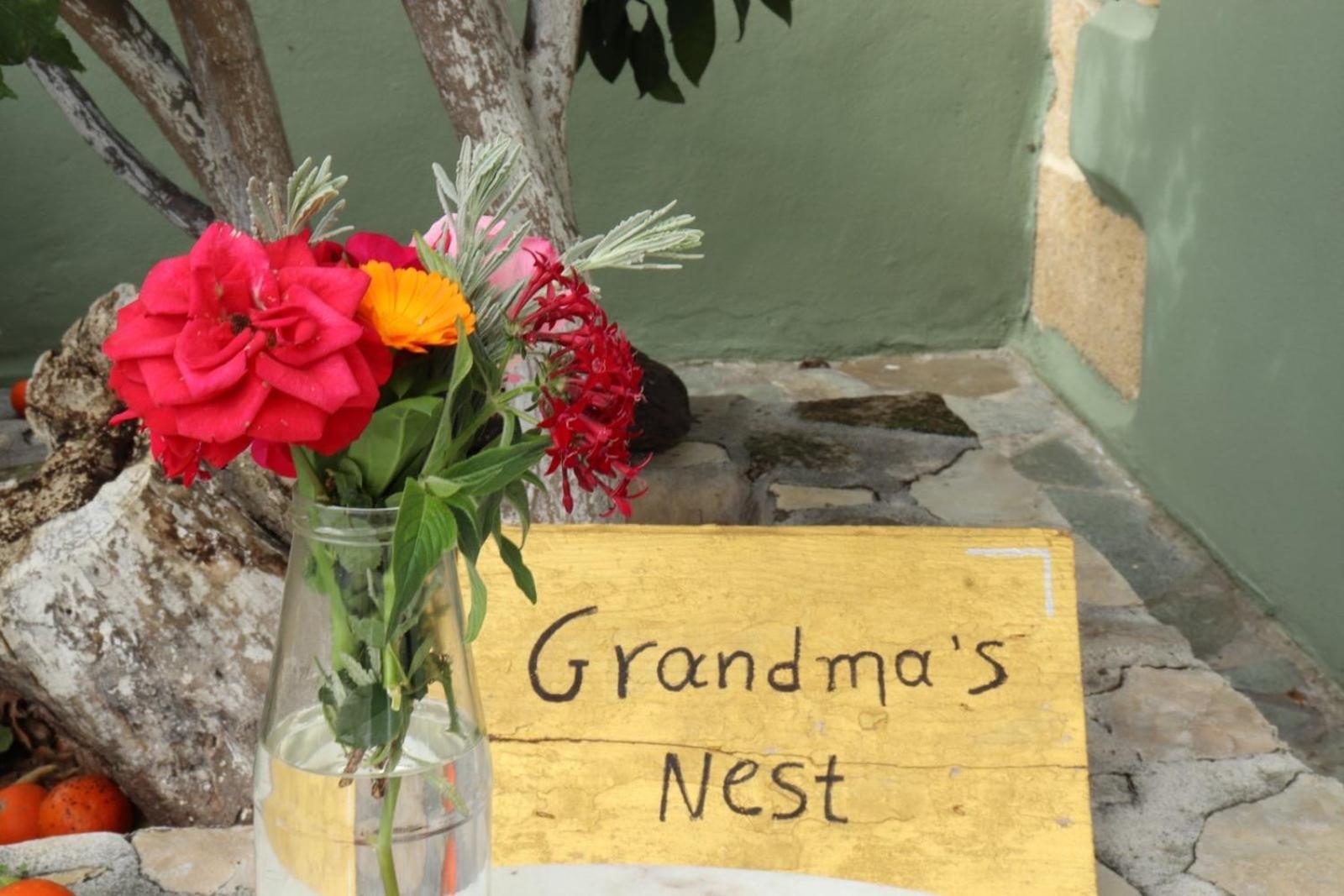 Villa Grandma'S Nest Kíssamos Esterno foto